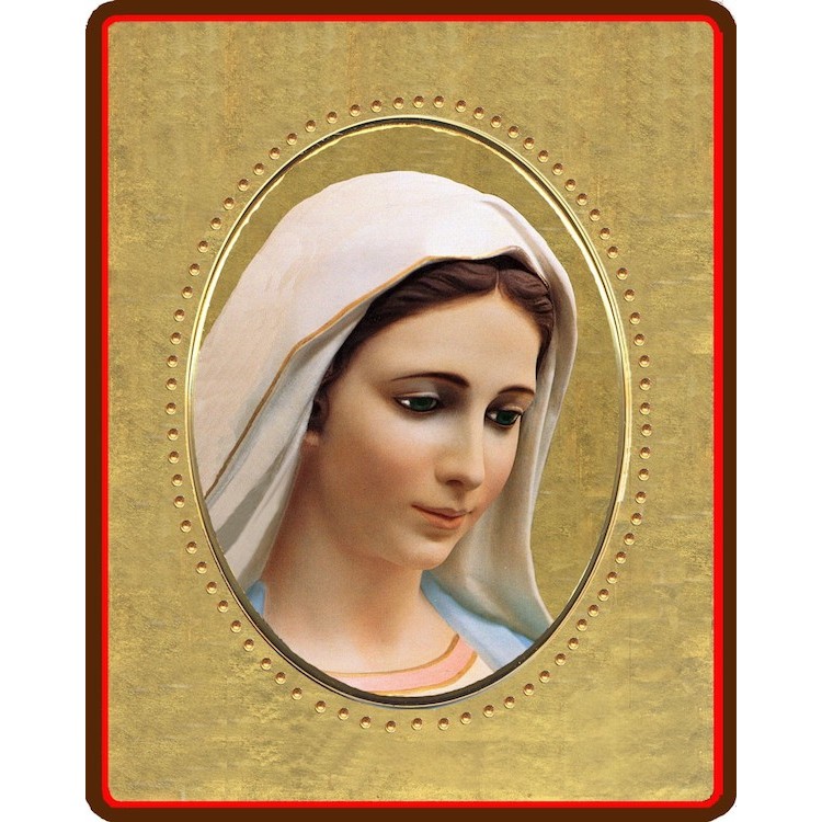 La Madonna di Medjugorje 8x10 cm.